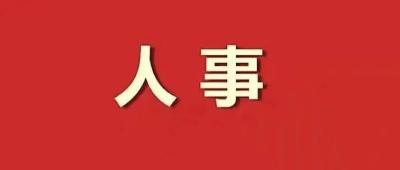 一中央级报社社长、总编辑调整